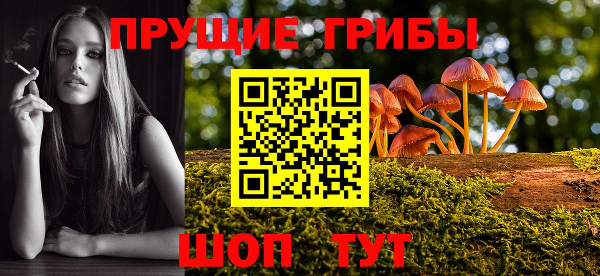 Псилоцибиновые грибы Psilocybine cubensis  Вход с VPN  Вичуга 
